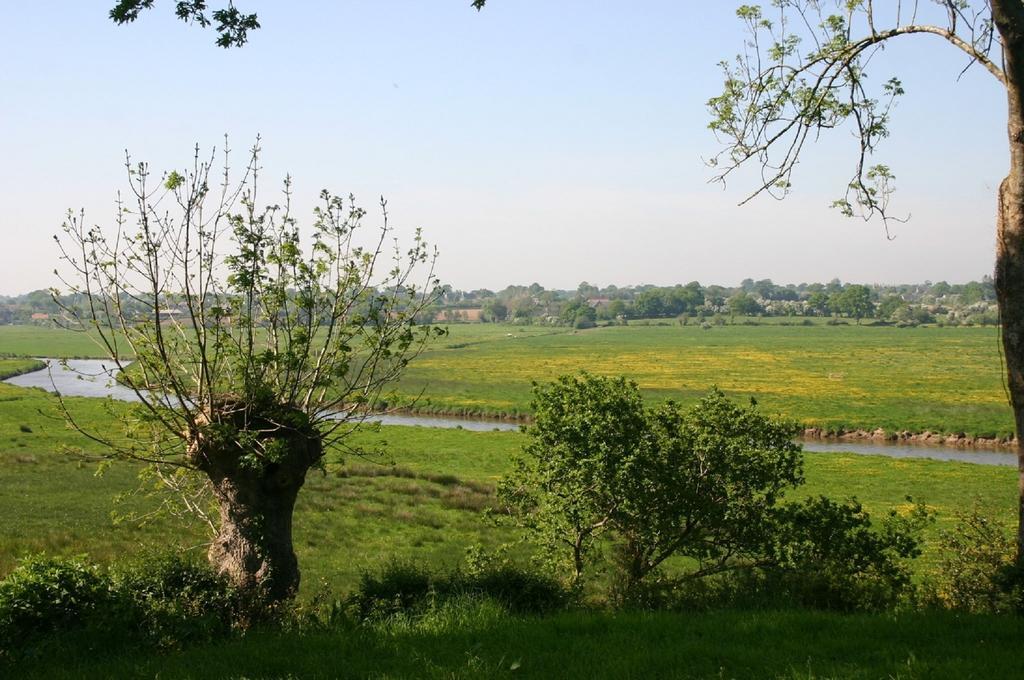 Gite Marguerite Les Moitiers-en-Bauptois Exteriér fotografie